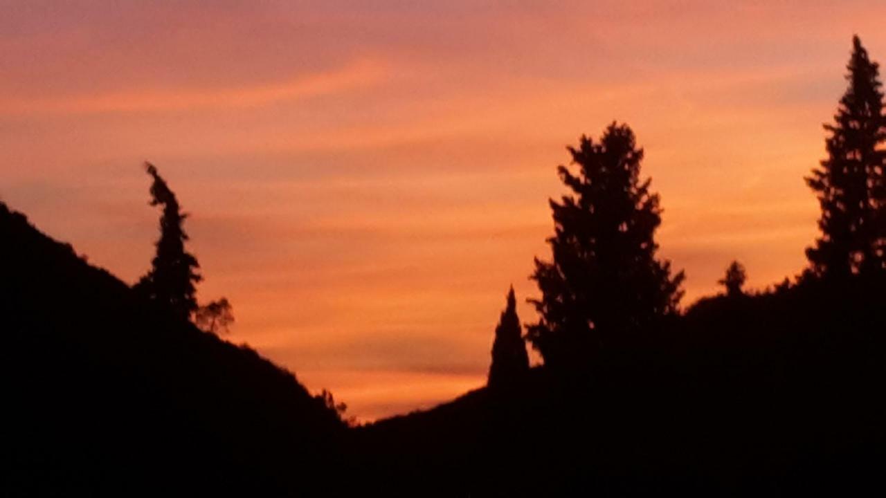Come A Casa Deiva Marina Luaran gambar