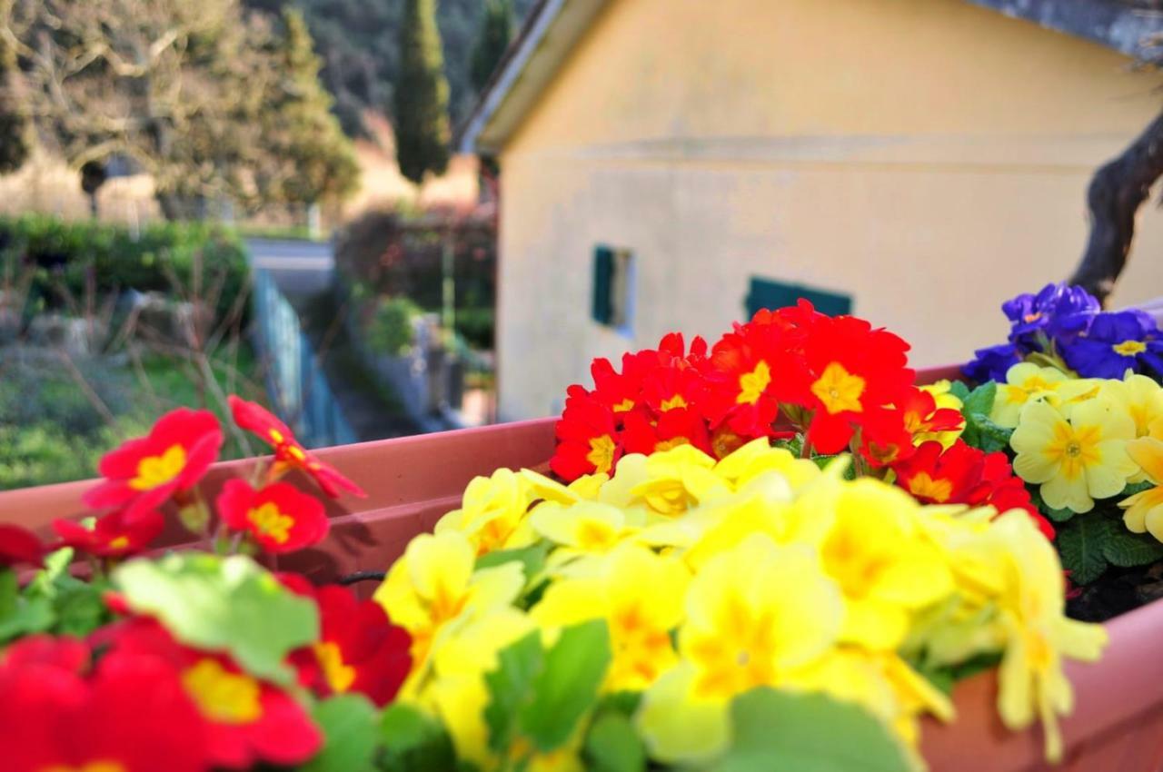 Come A Casa Deiva Marina Luaran gambar