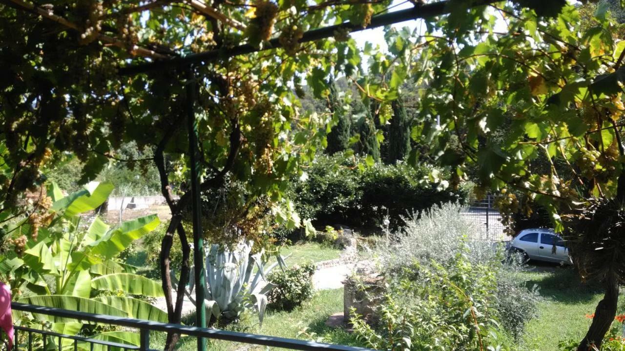 Come A Casa Deiva Marina Luaran gambar